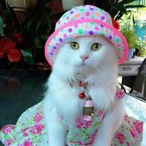 Meet your Posher, Juana